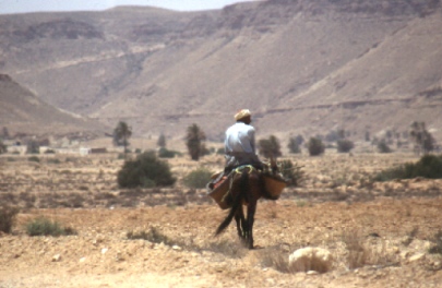 Der Bauer auf seinem Pferd.